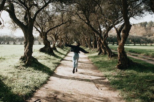 Free Person running on a Path between Trees Stock Photo
