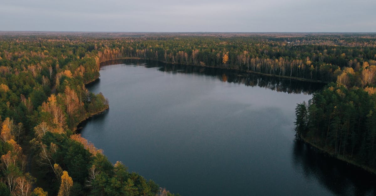 生活:你該知道的日月潭水位驟降背後原因及影響