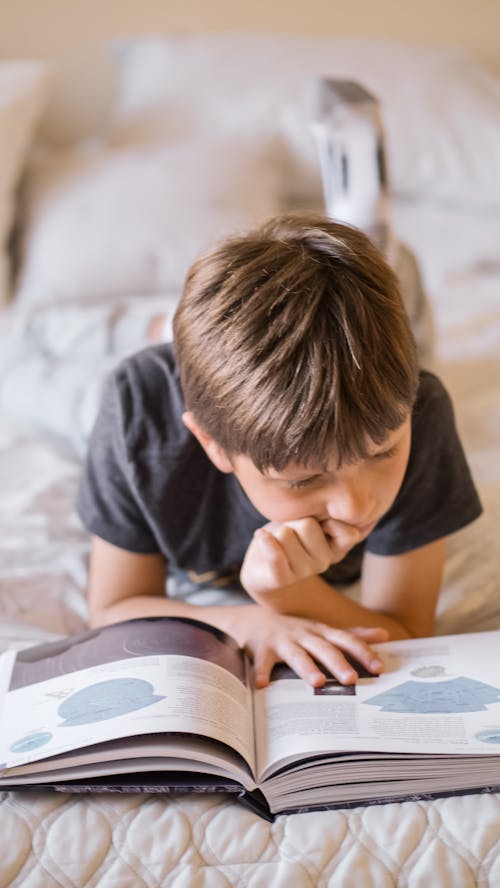 Free A Boy Reading a Book Stock Photo