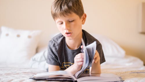 Free Selective Focus Photo of a Boy Flipping the Pages Stock Photo