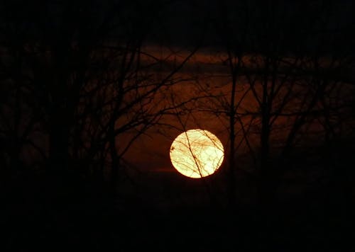 Free stock photo of moon, moonrise, supermoon