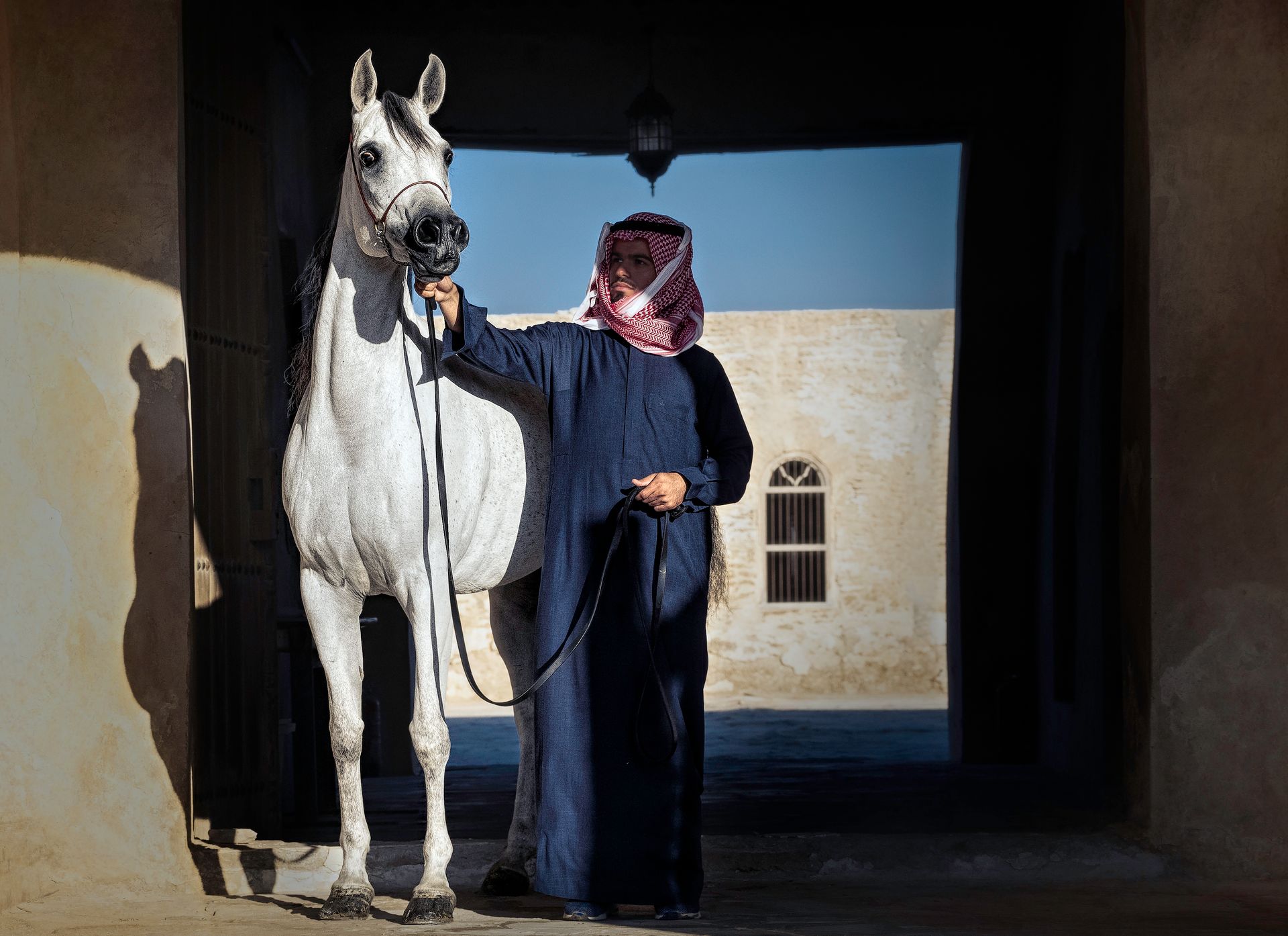 A man in traditional clothing stands with an Arabian horse in an archway.