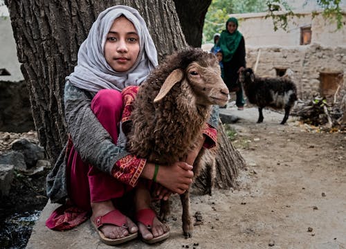 Young Woman in Hijab holding a Pet Sheep 