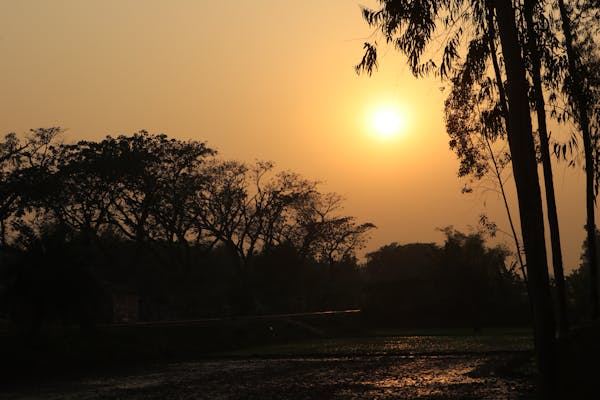 Pregnancy and paediatric chiropractic care