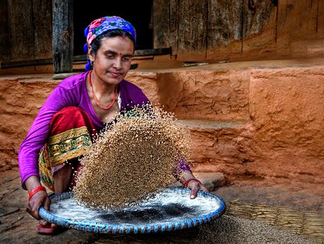 Woman winnowing grains with traditional methods in a rural setting. Vibrant cultural scene.