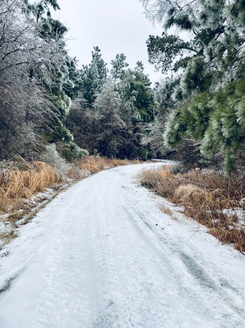 kış yol, kış yürüyüşü, soğuk atmosfer içeren Ücretsiz stok fotoğraf