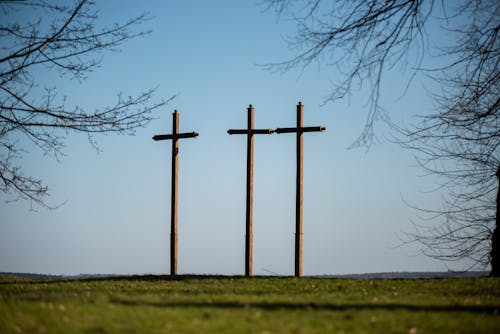 Free stock photo of barbed wire, cemetery, cross