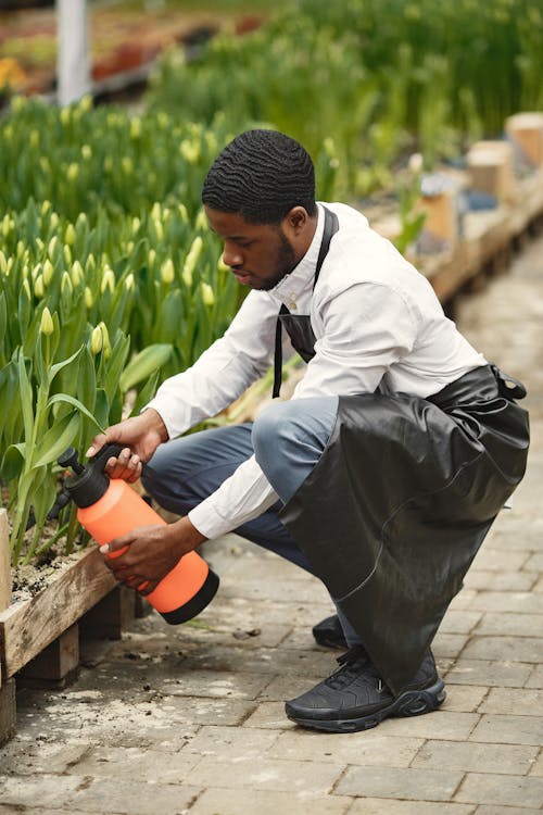 Gratis stockfoto met Afro-Amerikaanse man, gekleurde man, gieter