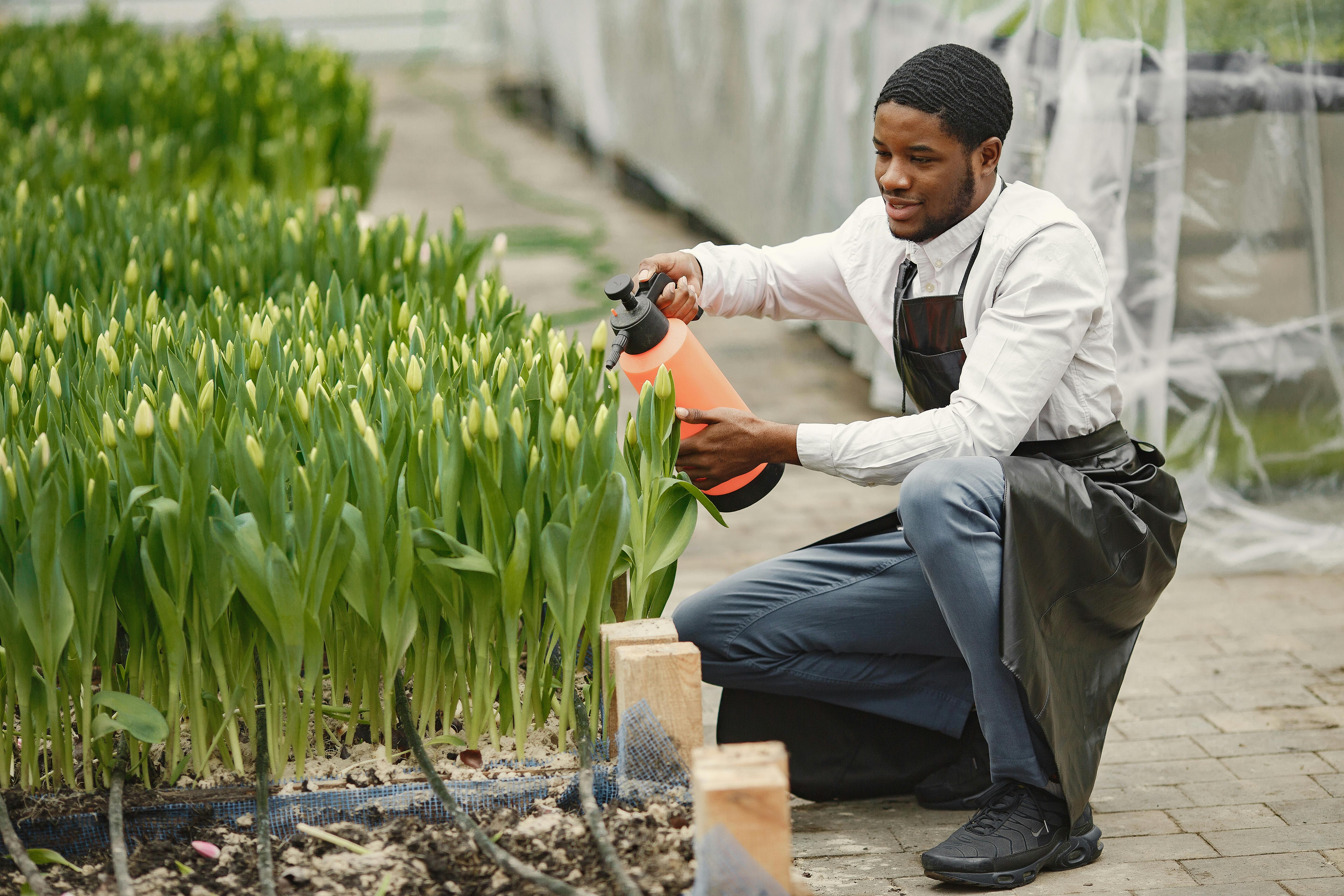 Tottenham chief 'placed on gardening leave' as summer shake-up continues — Photo by Gustavo Fring on Pexels