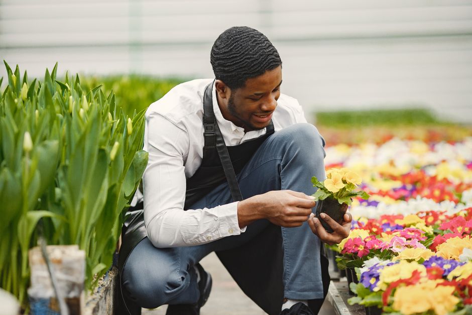 Florist crouching to arrange vibrant flowers in a garden Florist crouching to arrange vibrant flowers in a garden