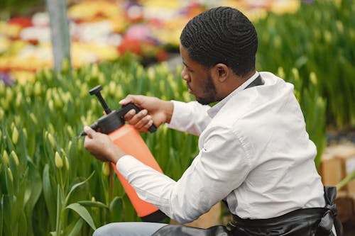 Gratis stockfoto met Afro-Amerikaanse man, gekleurde man, gieter