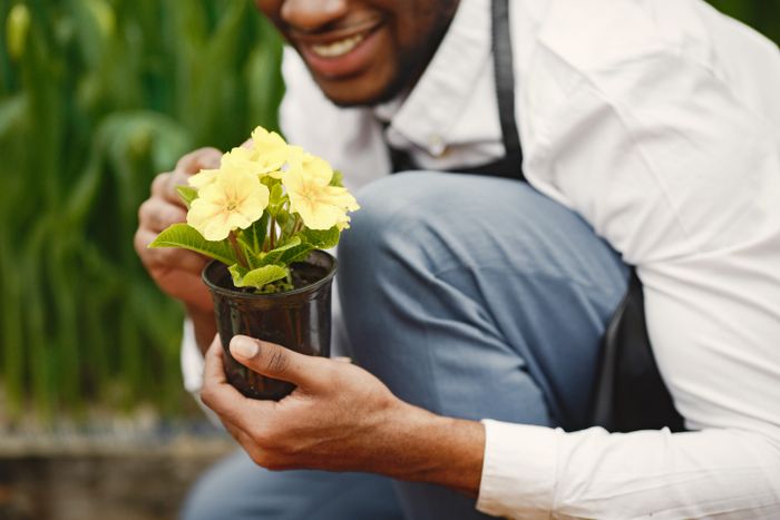 Grower cradling a young spring bloom in cupped hands