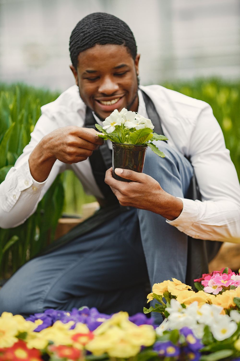 Trimline gardener tending colorful flowers in a greenhouse