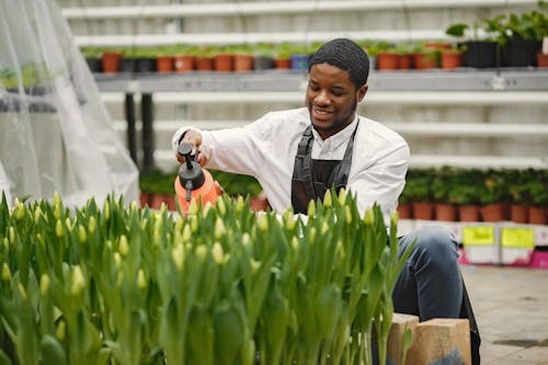 Gratis stockfoto met Afro-Amerikaanse man, blij, gekleurde man