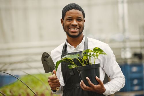 Free A cheerful gardener in a greenhouse holding a pothos plant and spade. Stock Photo
