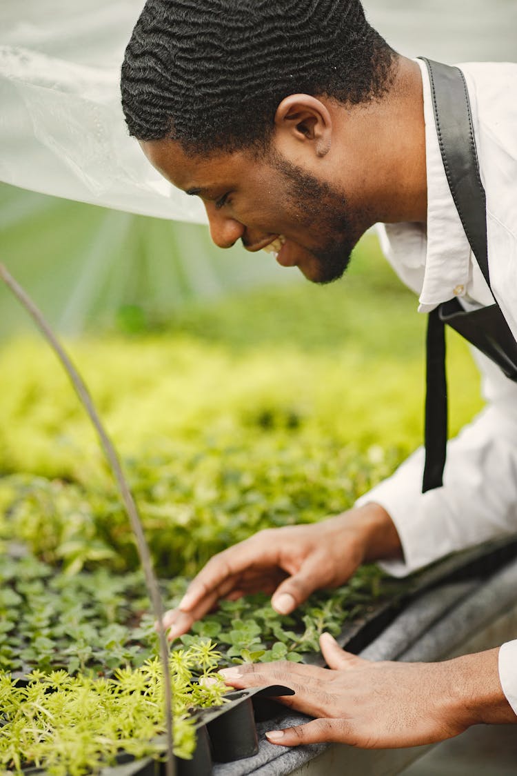 Gardner With An Original Hairstyle Touching Green Potted Plants