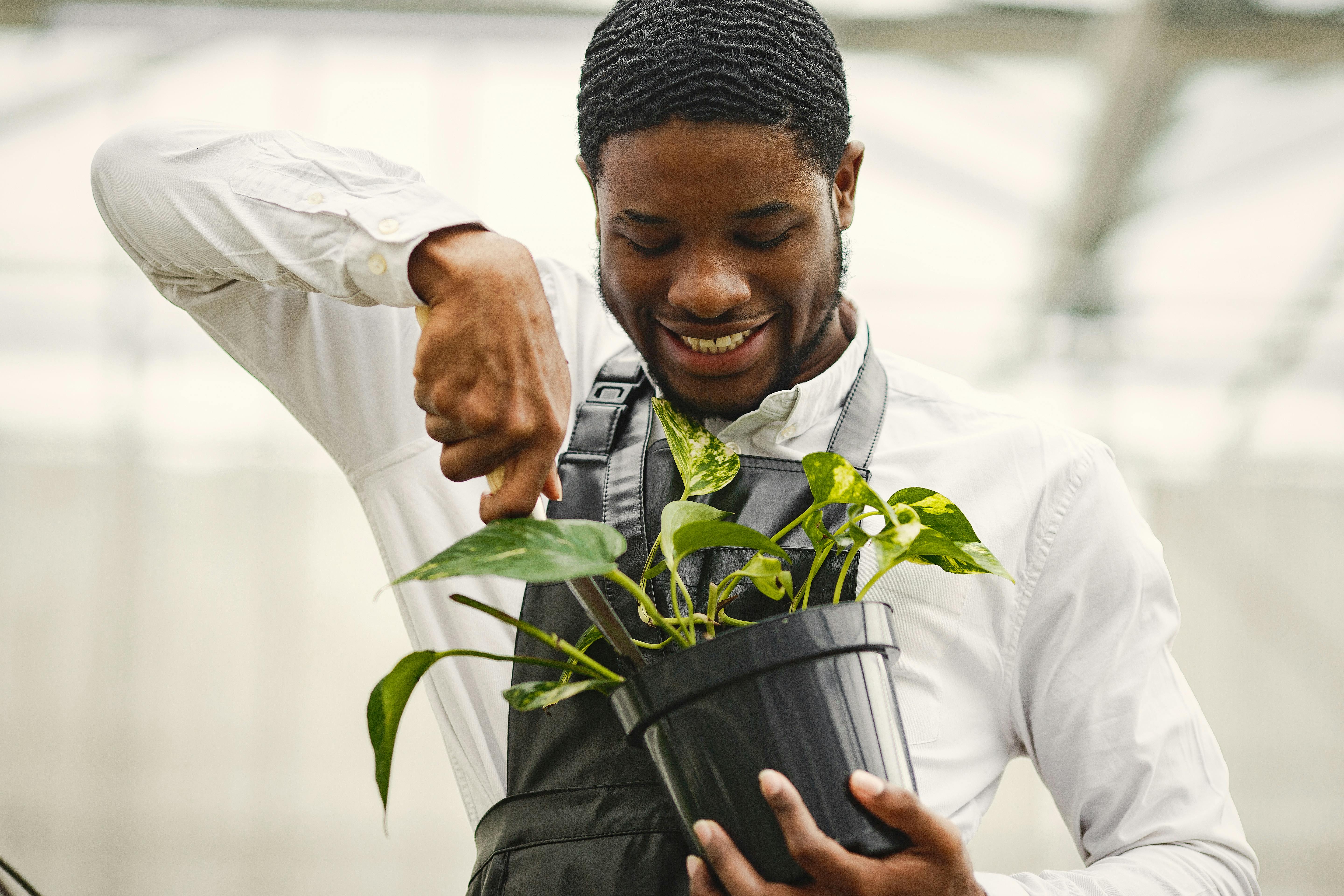Tottenham chief 'placed on gardening leave' as summer shake-up continues — Photo by Gustavo Fring on Pexels
