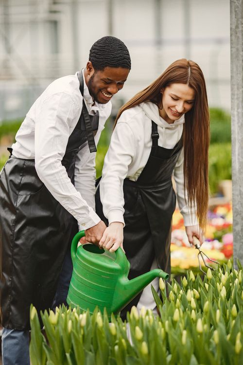 Free Two gardeners of diverse backgrounds happily working together with plants and a watering can. Stock Photo