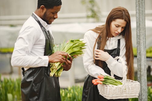 adam, apron, buket içeren Ücretsiz stok fotoğraf