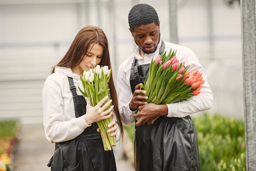 Gratis stockfoto met bloemen, boeket, diversiteit