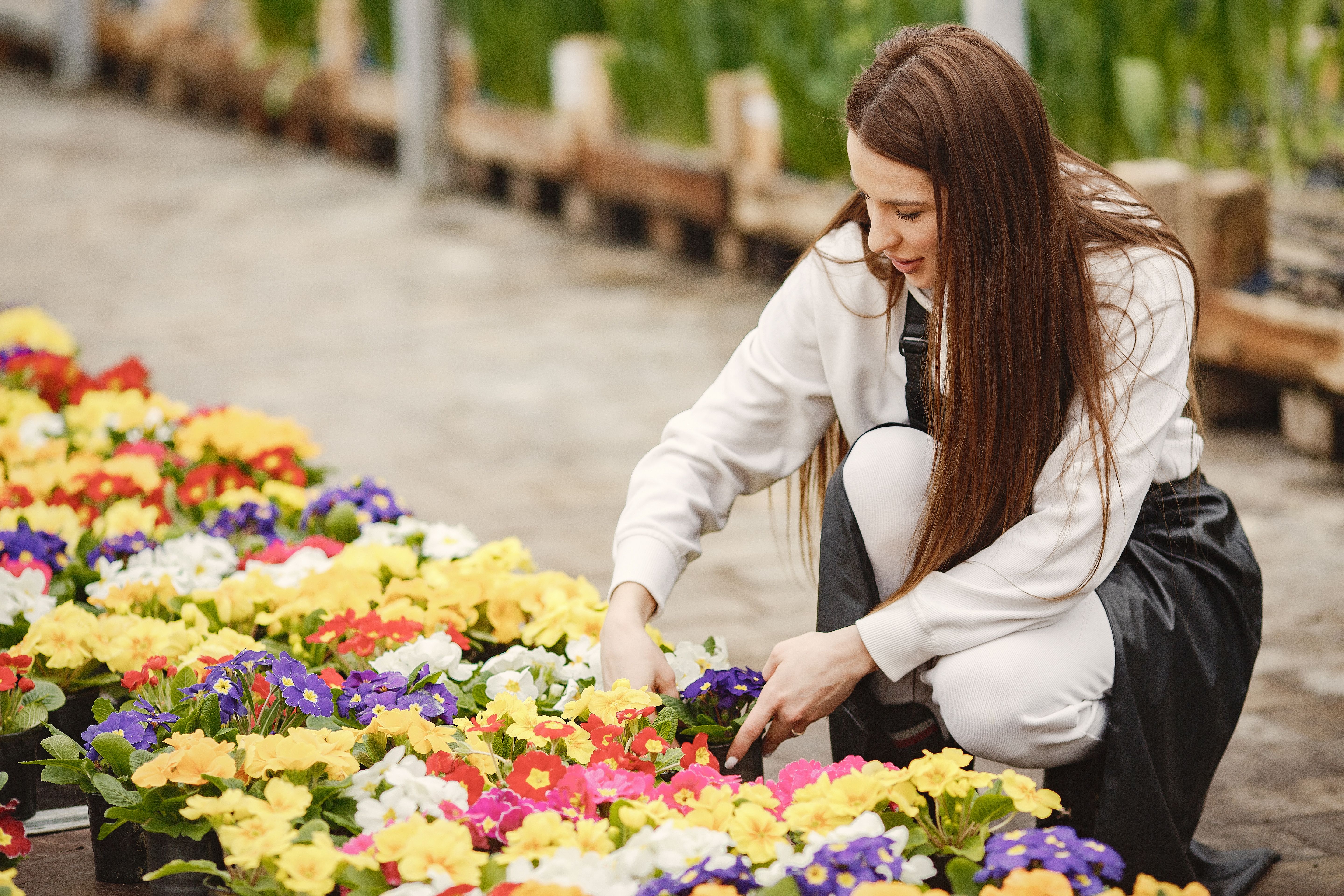 Trouver Jardinage à Belgique - Askaide