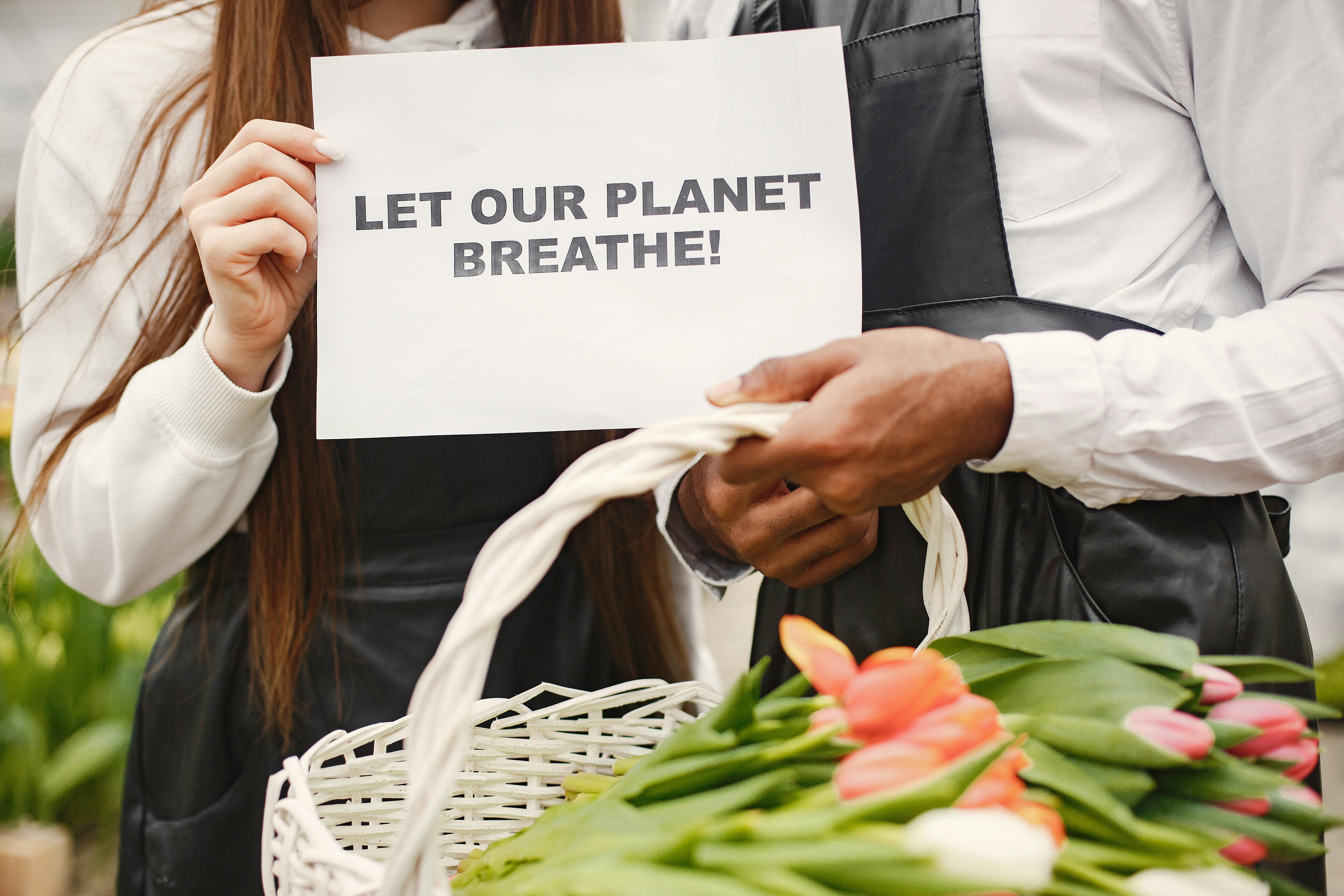 UConn climate conference focuses on building resilience across New England — Photo by Gustavo Fring on Pexels