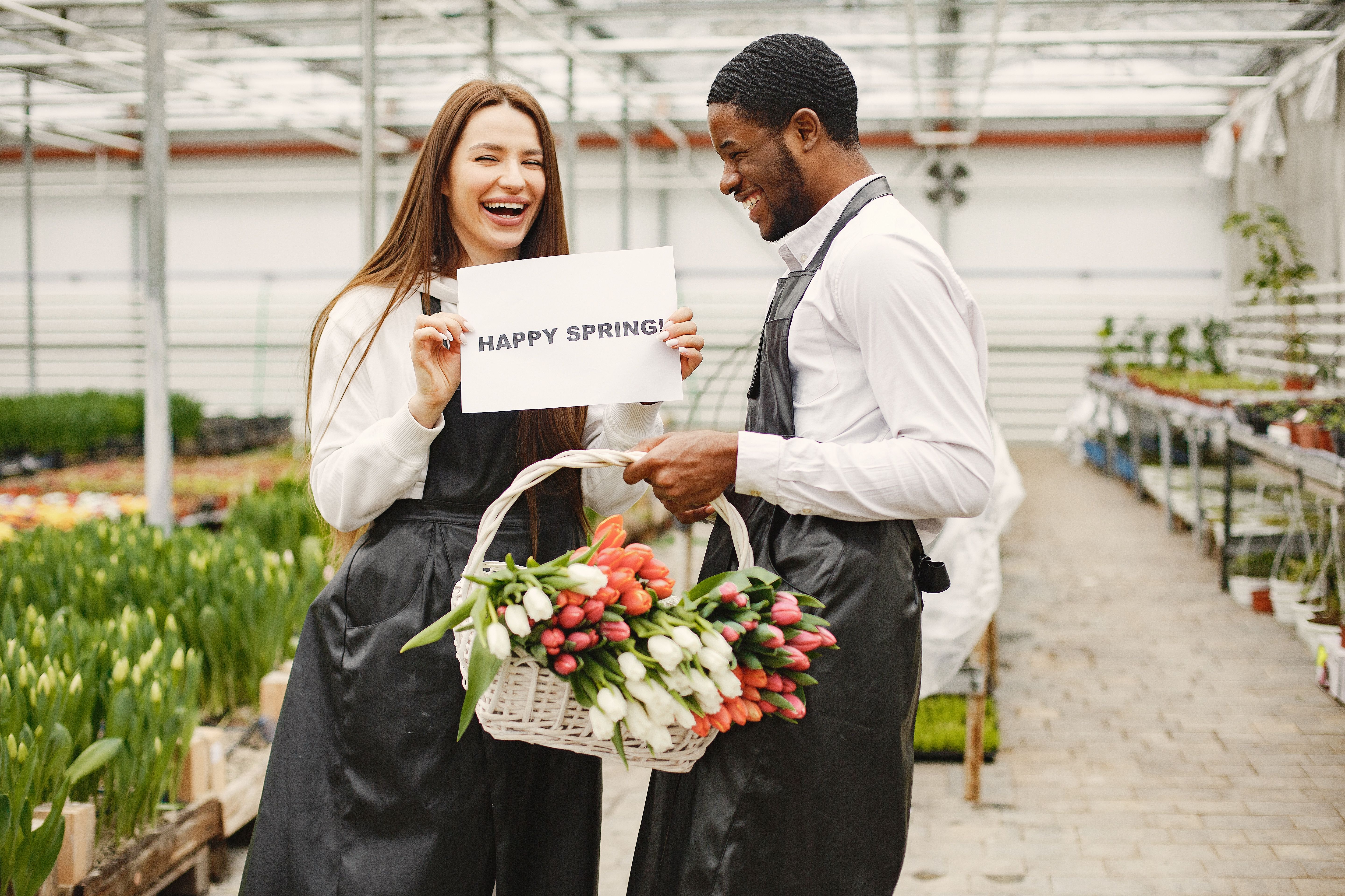 Two gardeners joyfully holding tulips in a greenhouse, celebrating spring. Perfect for stock images on gardening and seasonal themes.
