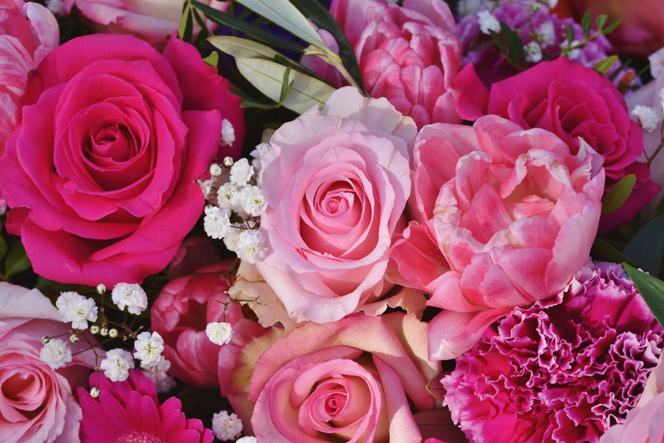 close-up on pink roses and carnations in a sympathy bouquet - Pink sympathy flowers close-up on pink roses and carnations in a sympathy bouquet - Pink sympathy flowers