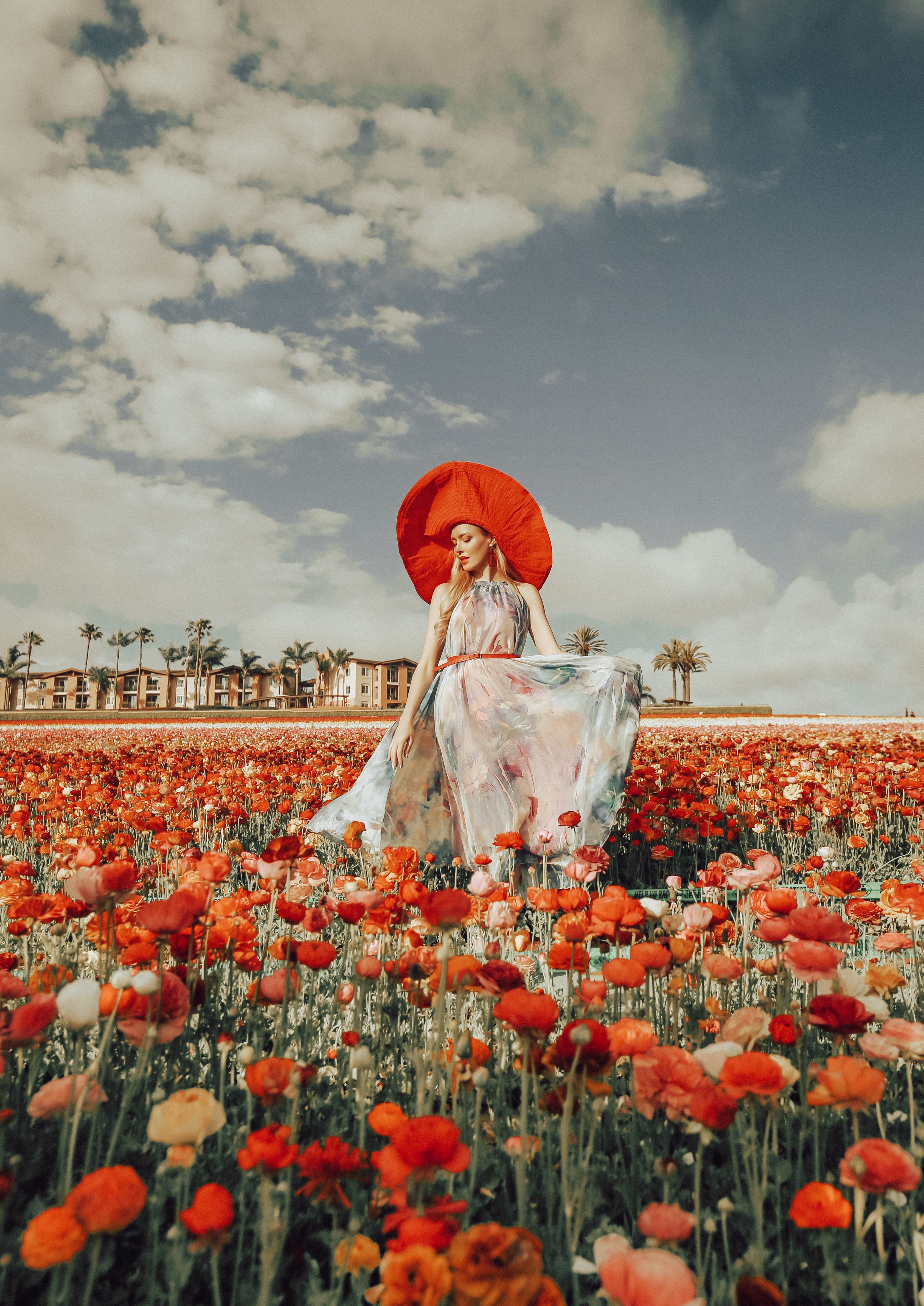 A Woman Standing in the Middle of a Flower Field · Free Stock Photo