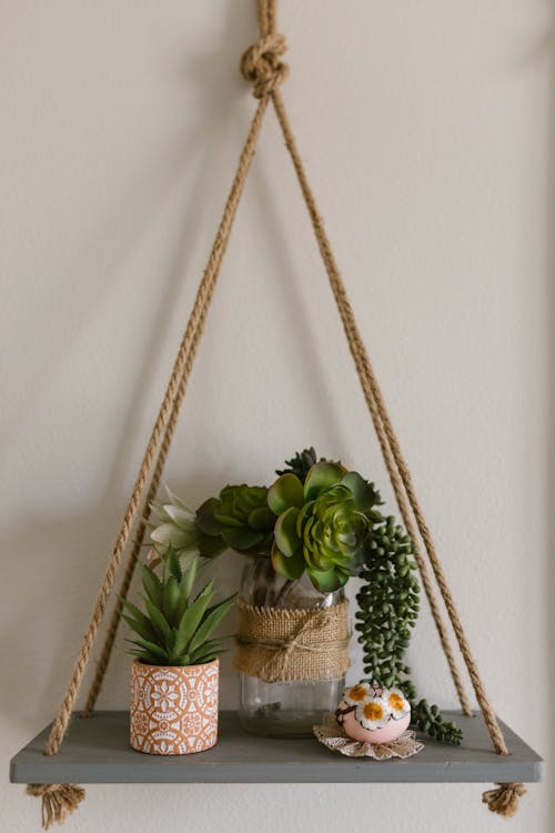 Display Of Succulent Plants On A Hanging Wood