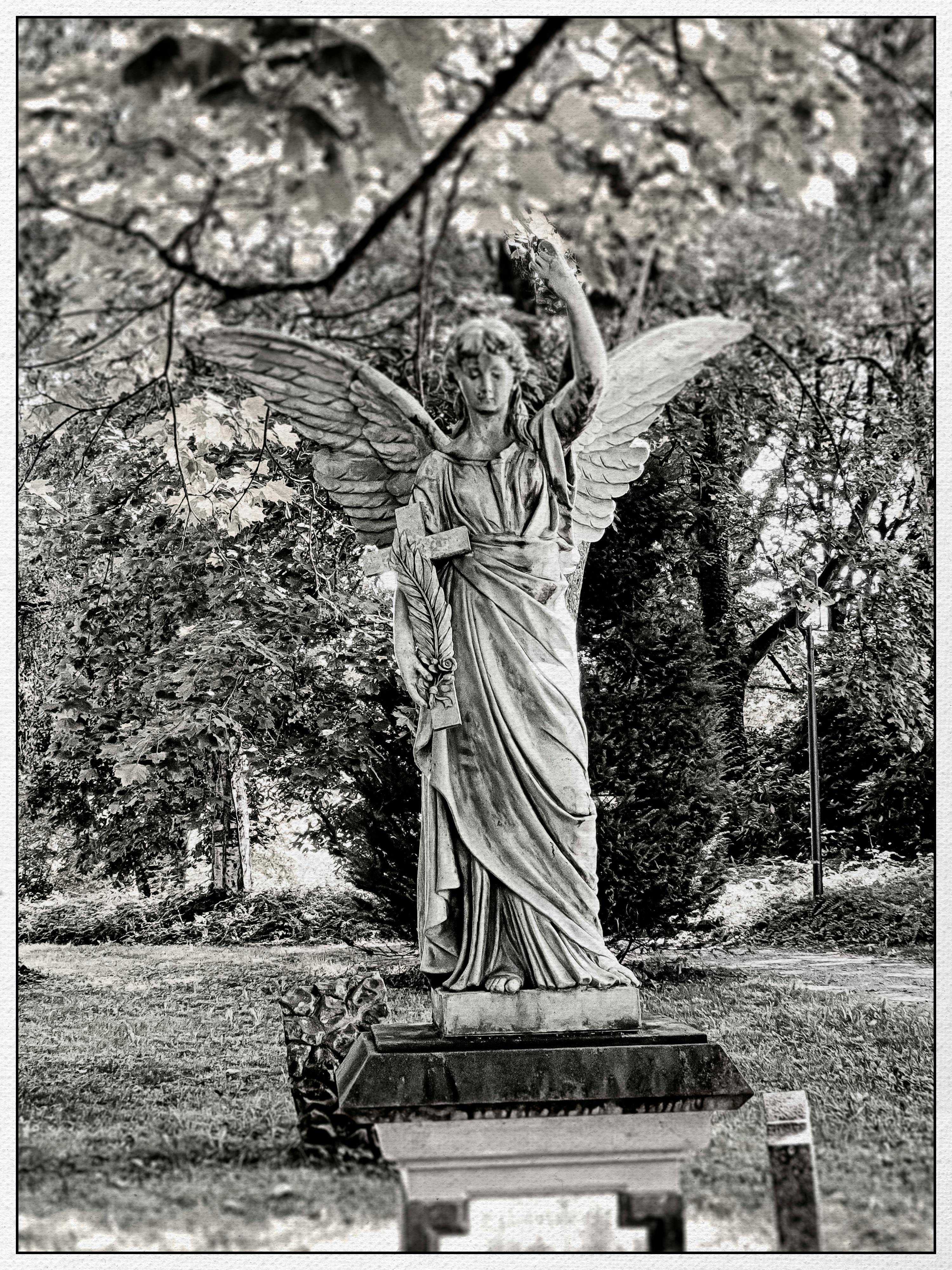Free stock photo of angel, black and white, grave stones