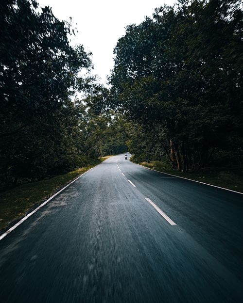 Free A scenic road through dense forest greenery, perfect for travel and adventure enthusiasts. Stock Photo