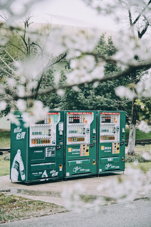 A Vending Machine in the Park
