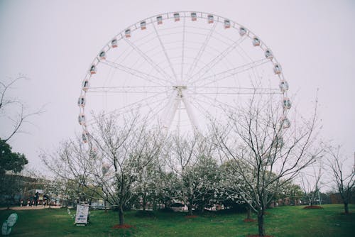 Fotobanka s bezplatnými fotkami na tému exteriéry, park, ruské koleso