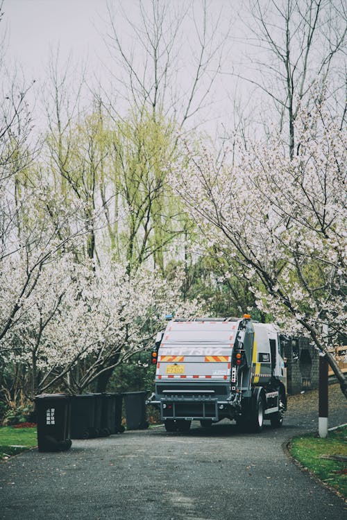 Garbage Truck Driving by Blooming Trees