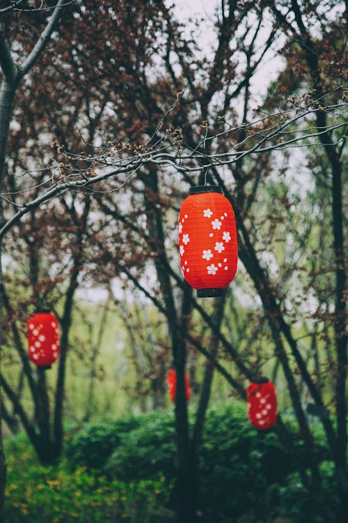 中國燈籠, 垂直拍攝, 戶外 的 免費圖庫相片