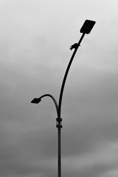 Black and white of curved metal street lamp against sky with dark clouds