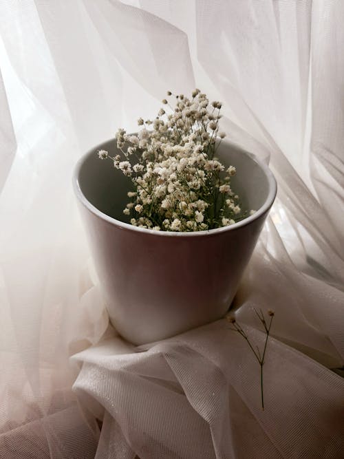 Free White Flowers in White Ceramic Pot Stock Photo