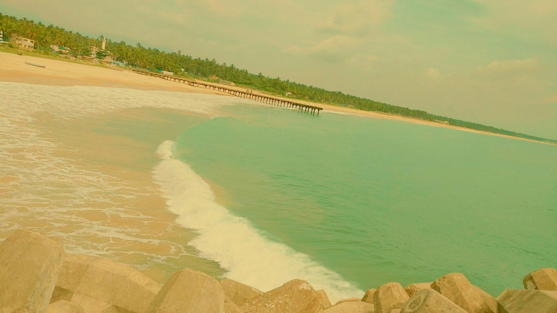 woman shopping at supermarket