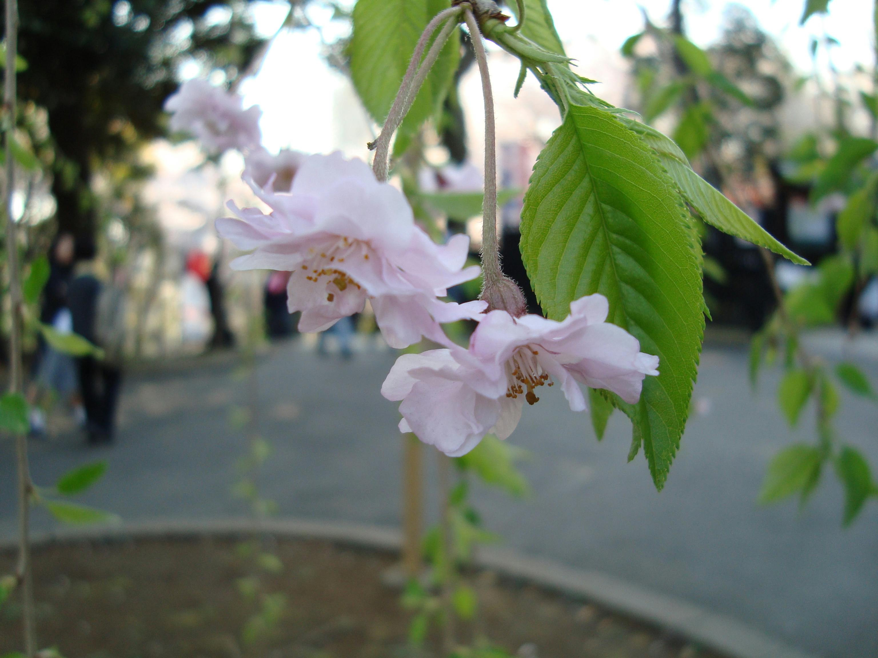 Paar sitzt auf dem Sofa und unterhält sich, symbolisiert Kommunikation in Beziehungen