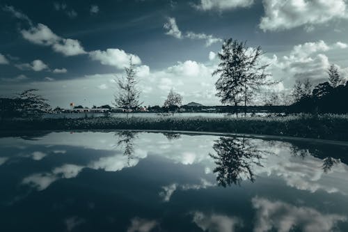 강, 경치, 구름의 무료 스톡 사진