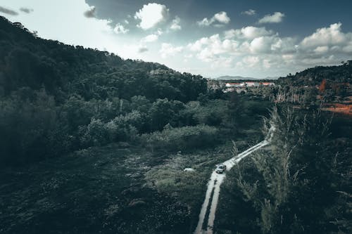 Imagine de stoc gratuită din aerian, apă, arbori