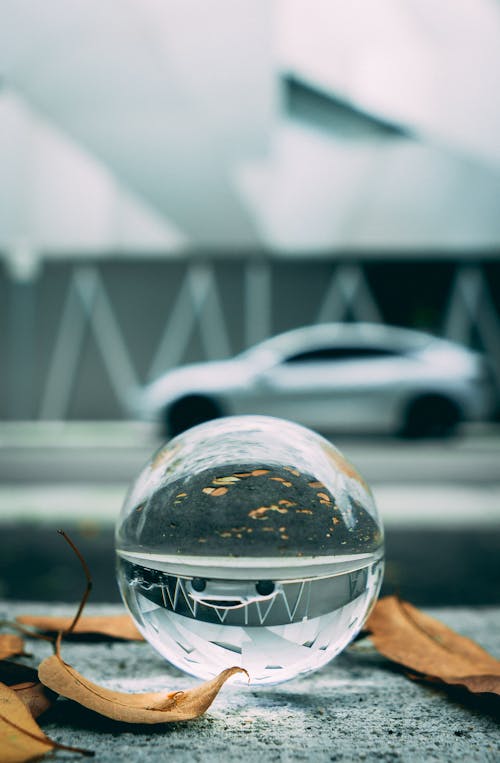 Shallow Focus Photo of a Lensball near the Dry Leaves