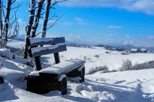 Free A serene winter scene featuring a snow-covered bench and trees. Stock Photo