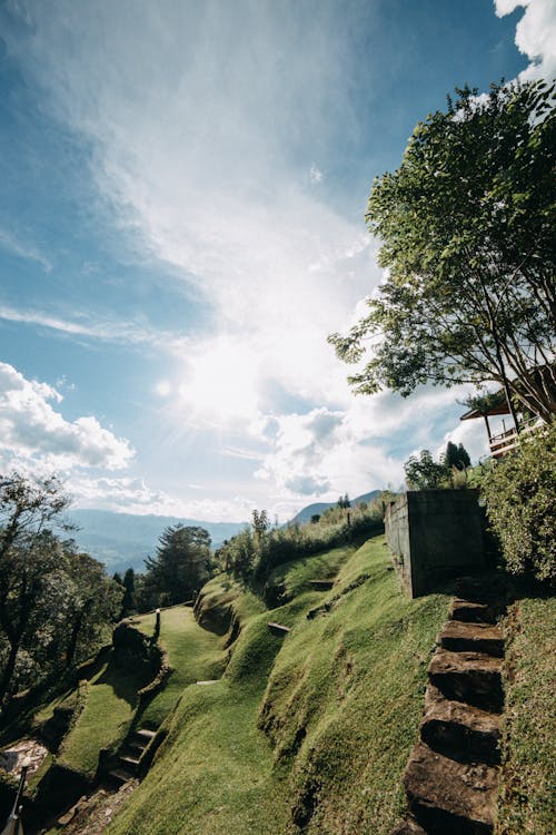 Free Grassy terrain with stairs in nature Stock Photo