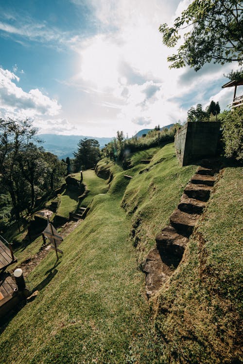 Free Grassy slope with steps in nature Stock Photo