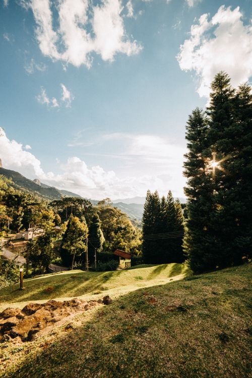 Free Grassy hill with distant rural house located near dense woods with tall coniferous trees growing against blue sky on summer day Stock Photo