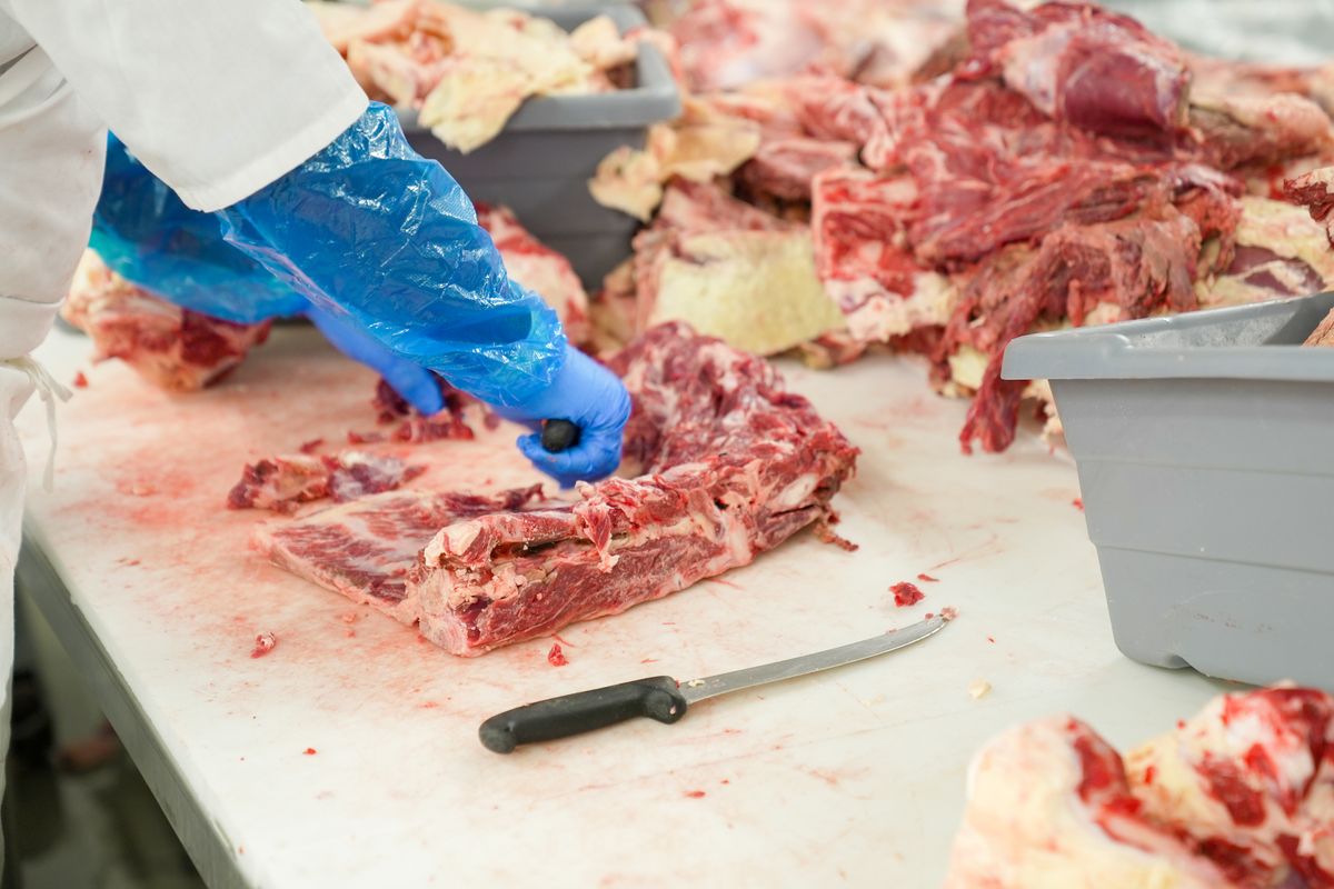 Corte de carne vacuna fresca