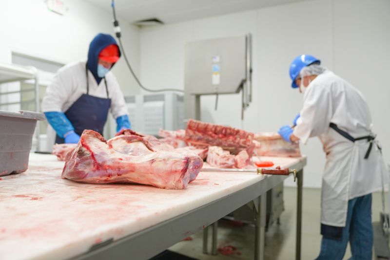 Two butchers process raw meat in an indoor industrial facility