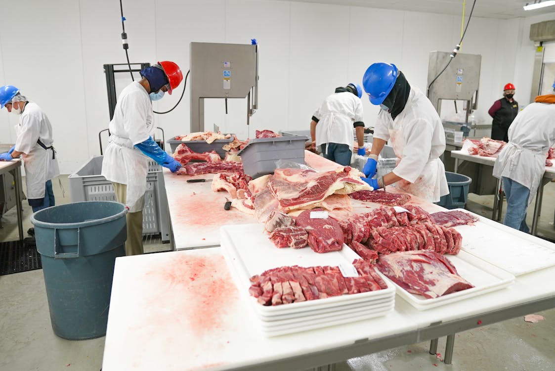 Free Inside the Meat Products Production Line Stock Photo